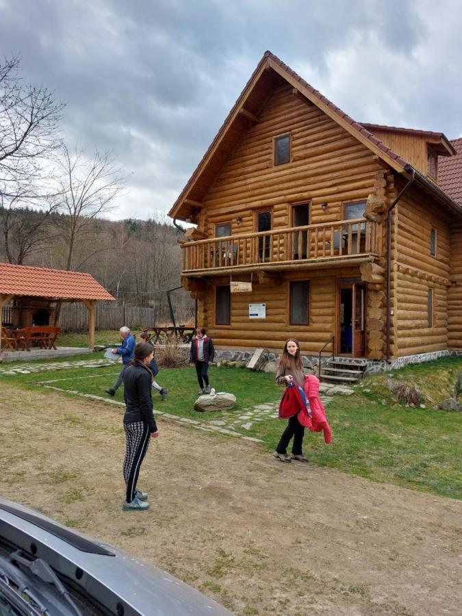 Valea Vistisoarei Villa Vistisoara Exterior photo