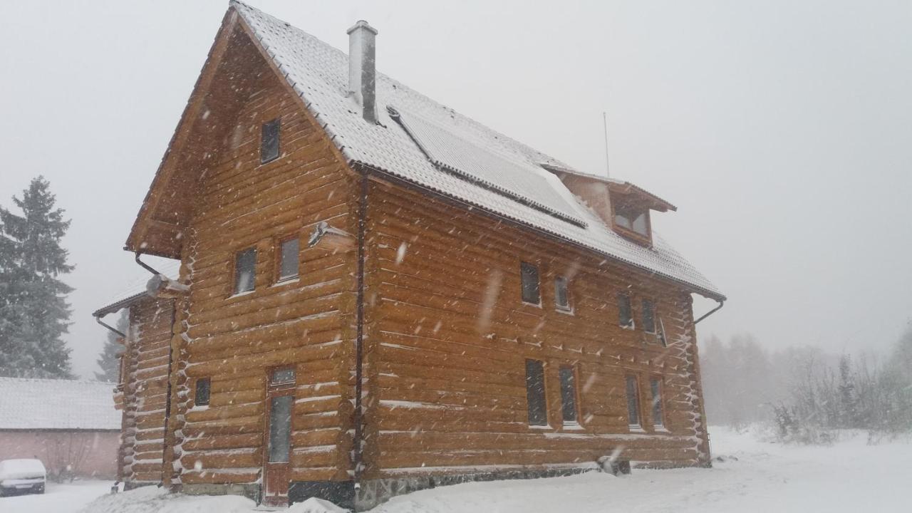 Valea Vistisoarei Villa Vistisoara Exterior photo